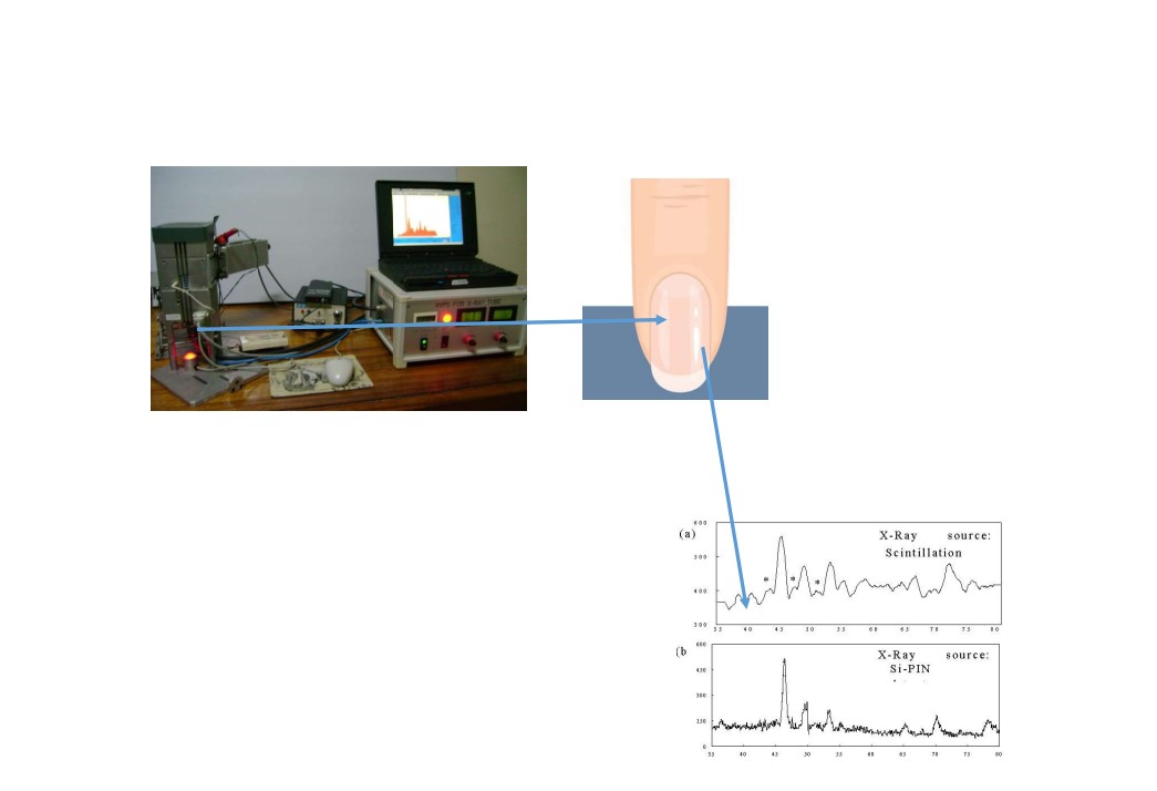 VOL38 1호_Elemental E.jpg